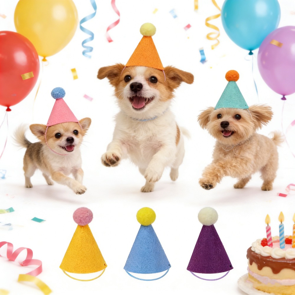 3/6개 애완동물 파티 모자, 다채로운 미니 파티 모자 - Party Hat Cone 리뷰 및 가격